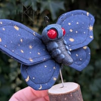Image 3 of Starry Goth Moth 