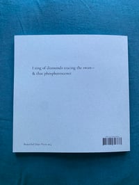 Image 3 of Gravity Siren by Monroe Lawrence