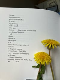 Image 4 of Gravity Siren by Monroe Lawrence