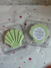 Image 1 of Tutti Frutti Sea Shell Clam