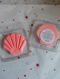 Image 2 of Tutti Frutti Sea Shell Clam