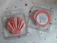 Jam Roly Poly Sea Shell Clam