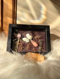 Image 1 of Framed Specimen IX