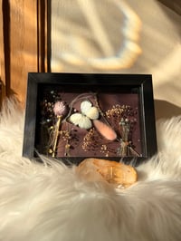 Image 2 of Framed Specimen IX