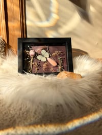 Image 3 of Framed Specimen IX