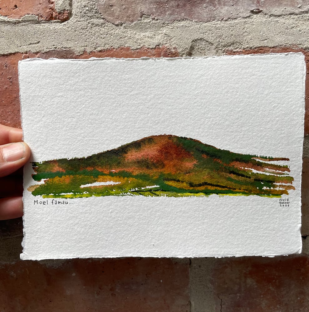 Image of Moel Famau Autumn 🍂 