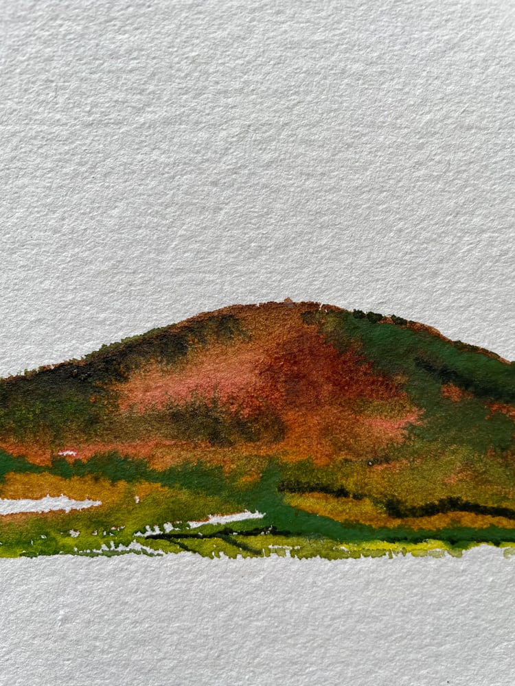 Image of Moel Famau Autumn 🍂 