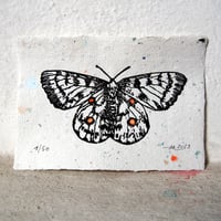 Image 1 of  Apollofalter / Linolschnitt