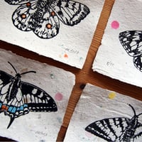 Image 4 of Segelfalter / Linolschnitt