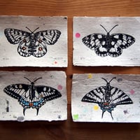 Image 5 of Segelfalter / Linolschnitt