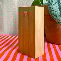 Image 2 of Boîte insecte S