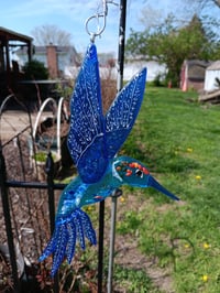 Hummingbirds are here