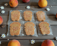 Nectarine & Apricot Teddy