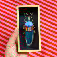Image 3 of Boîte insecte S