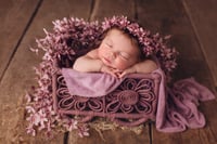 Image 9 of Cherish bed/sofa in different colors