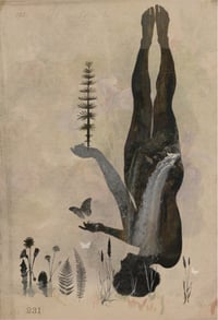 Image 1 of The Quiet & the Breath