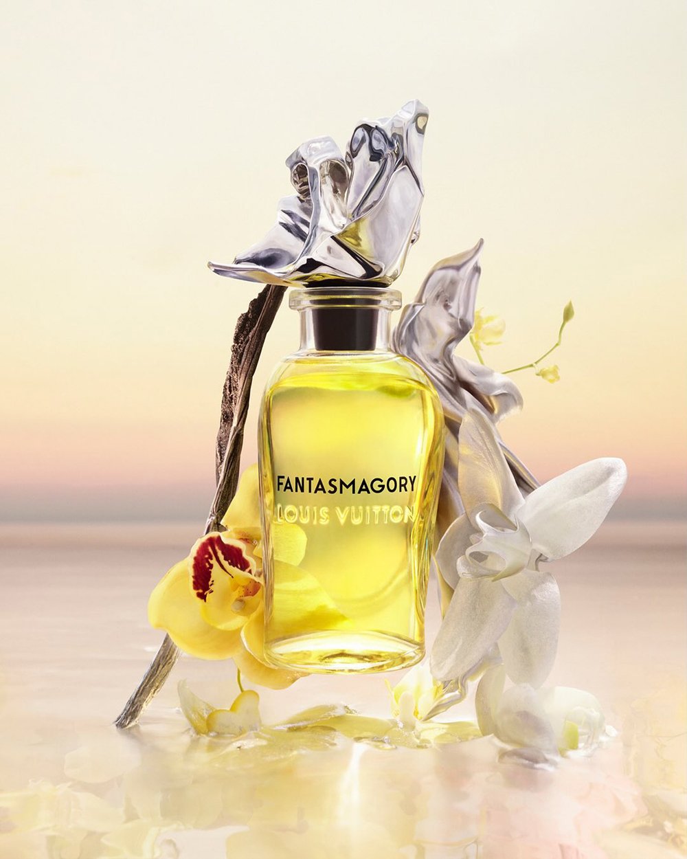 Image of LOIUS VUITTON FANTASMAGORY (TYPE)