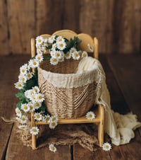 Image 1 of Romance of Provence