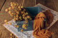 Image 1 of Rosty Set