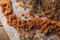 Image 7 of Rosty Set