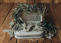 Image 2 of Set Minty