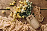 Image 5 of Set Sunny