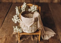 Image 2 of Set Isolde