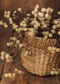 Image 3 of Set Brunno