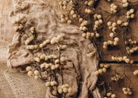 Image 4 of Set Brunno