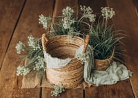 Image 1 of Set Wild Grass