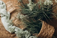 Image 2 of Set Wild Grass