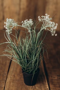 Image 3 of Set Wild Grass