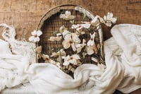 Image 3 of Set Magnolia