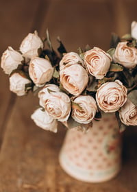 Image 4 of Set Rosy