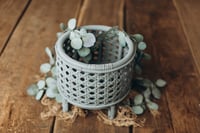 Image 3 of Set Evangeline