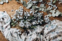 Image 5 of Set Evangeline