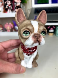 Image 2 of Boston Terrier Cartoon