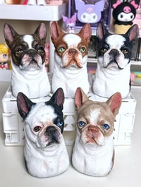 Image 2 of Boston Terrier Bust 