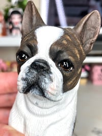 Image 3 of Boston Terrier Bust 