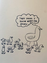 Image 2 of They think I know what I’m doing 