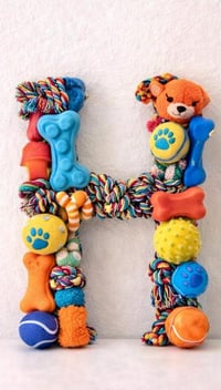 Image 2 of Custom Pet Monogram Letter | 18" Wooden Initial Sign with Cat/Dog Toys