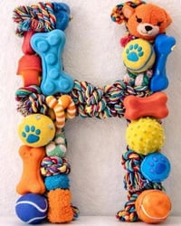 Image 2 of Custom Pet Monogram Letter | 9" Wooden Initial Sign with Cat/Dog Toys