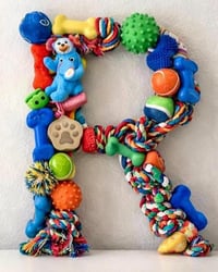 Image 3 of Custom Pet Monogram Letter | 9" Wooden Initial Sign with Cat/Dog Toys