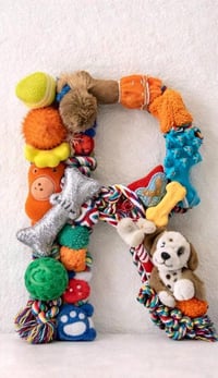 Image 3 of Custom Pet Monogram Letter | 18" Wooden Initial Sign with Cat/Dog Toys