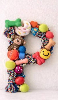 Image 4 of Custom Pet Monogram Letter | 18" Wooden Initial Sign with Cat/Dog Toys