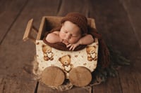 Image 1 of Wood Baby Wagon in differen designs