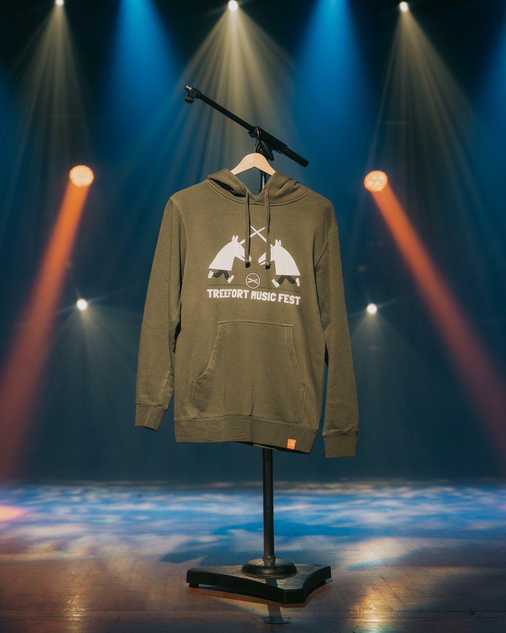 Image of TMF 2026 Goofy Joust Hoodie