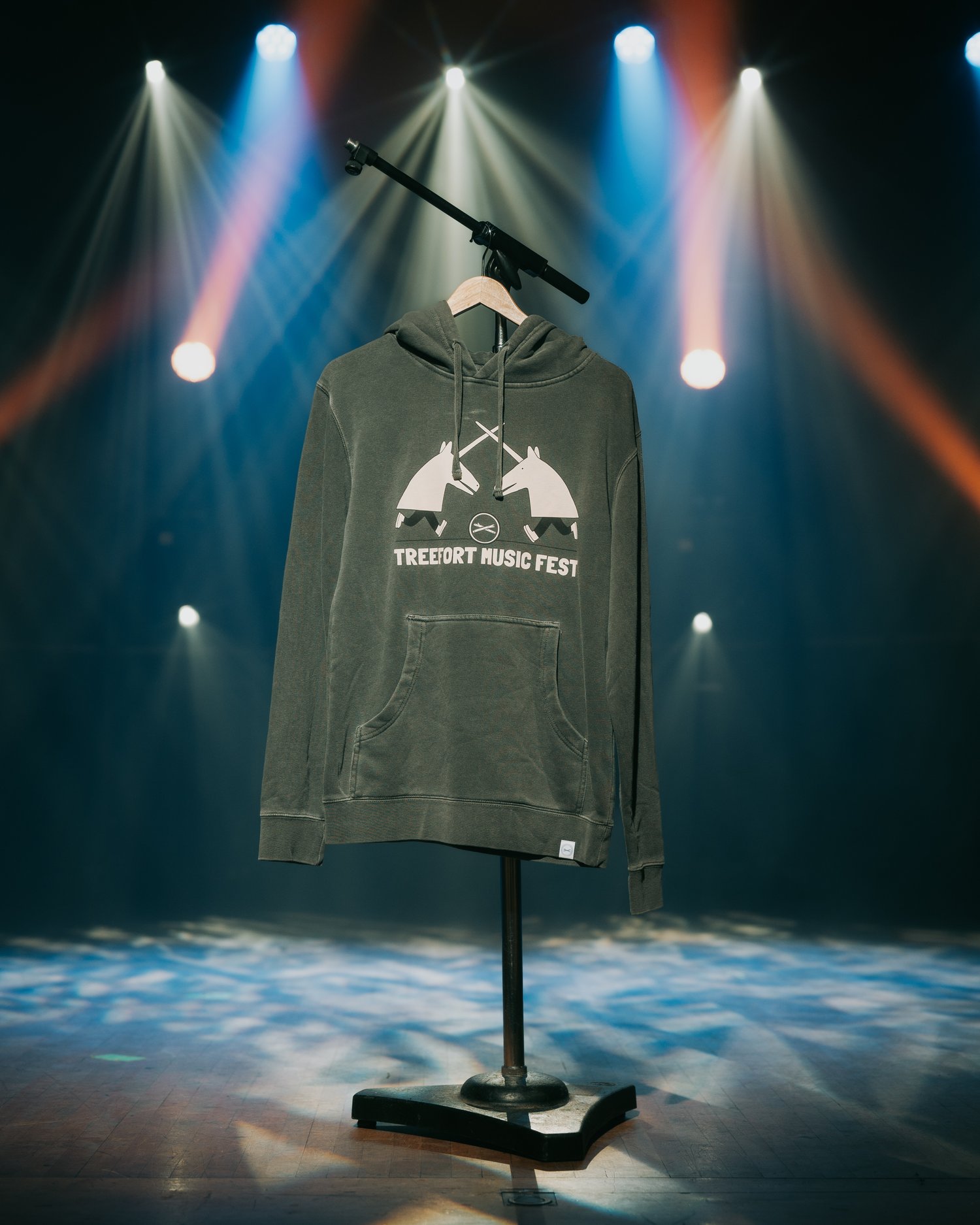 Image of TMF 2026 Goofy Joust Hoodie