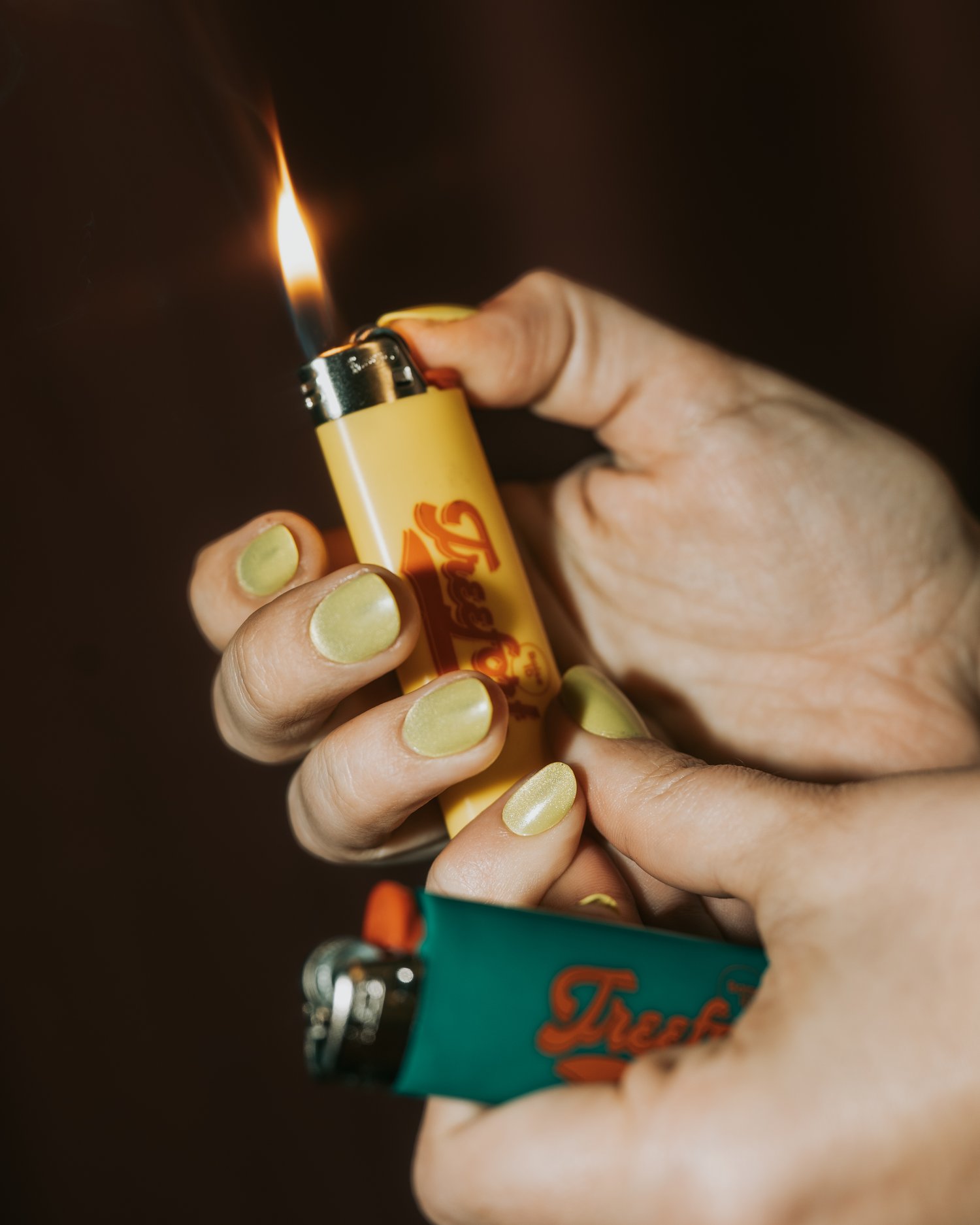 Image of Treefort Music Fest BIC Lighter