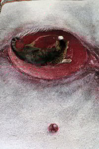 Image 2 of *PREORDER FOR MAY* woven tapestry/blanket (50x 66 inches) weep